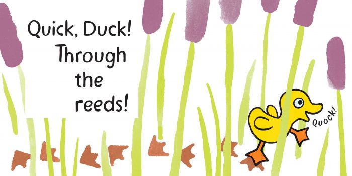 Quick Duck! by Mary Murphy